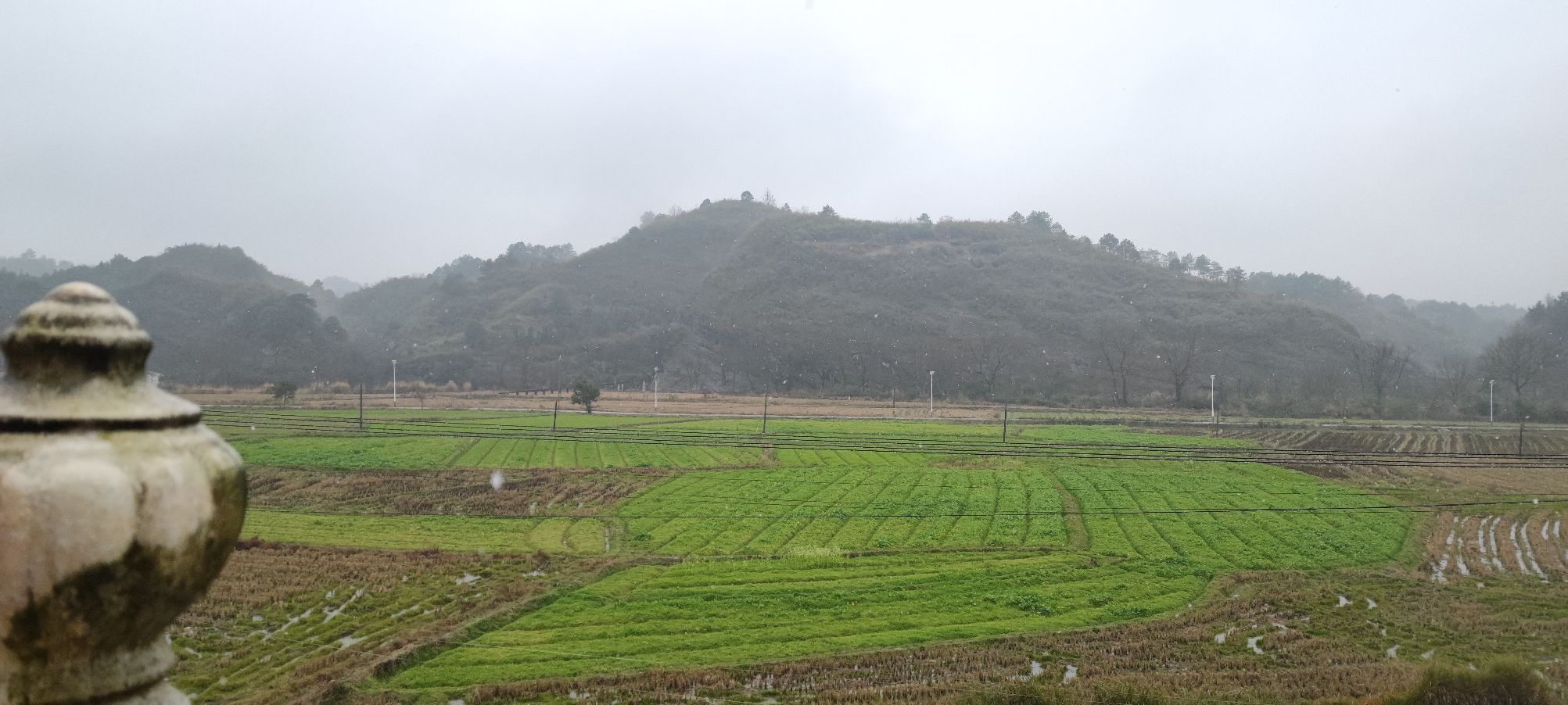 红岩村坑背组