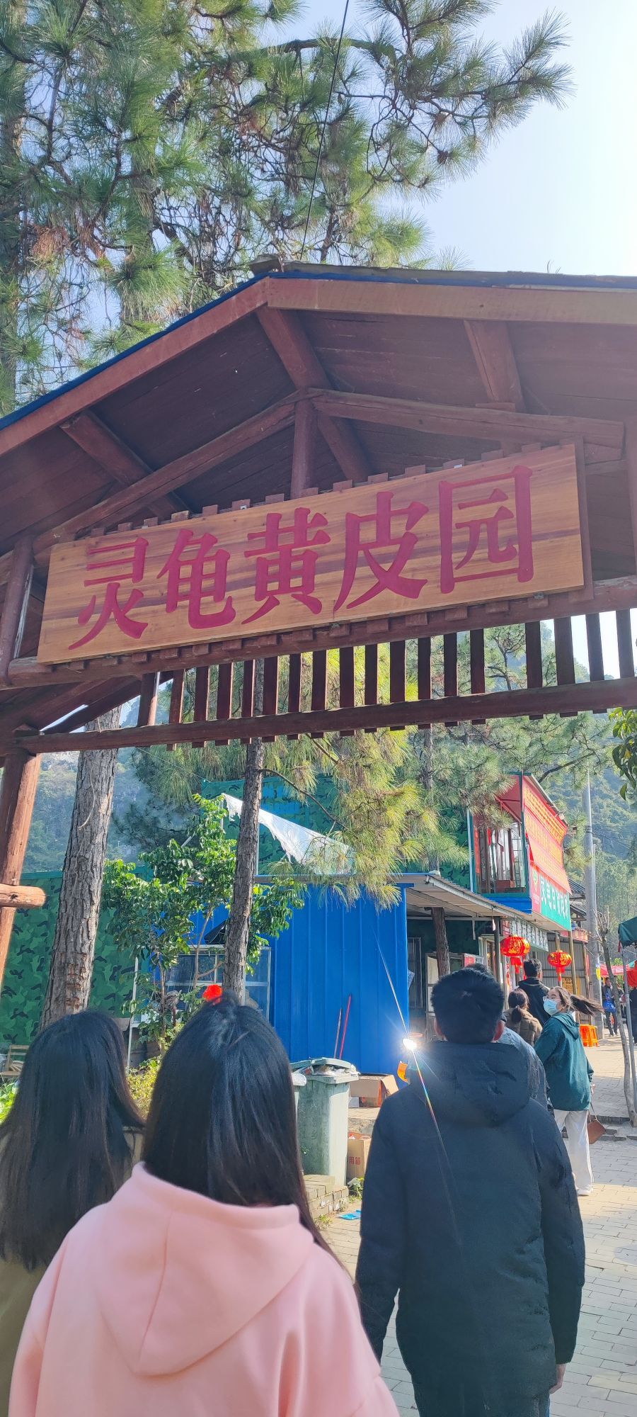 蒙公灵龟宝山