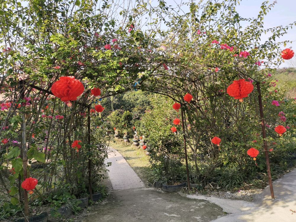 龙武桃花岛