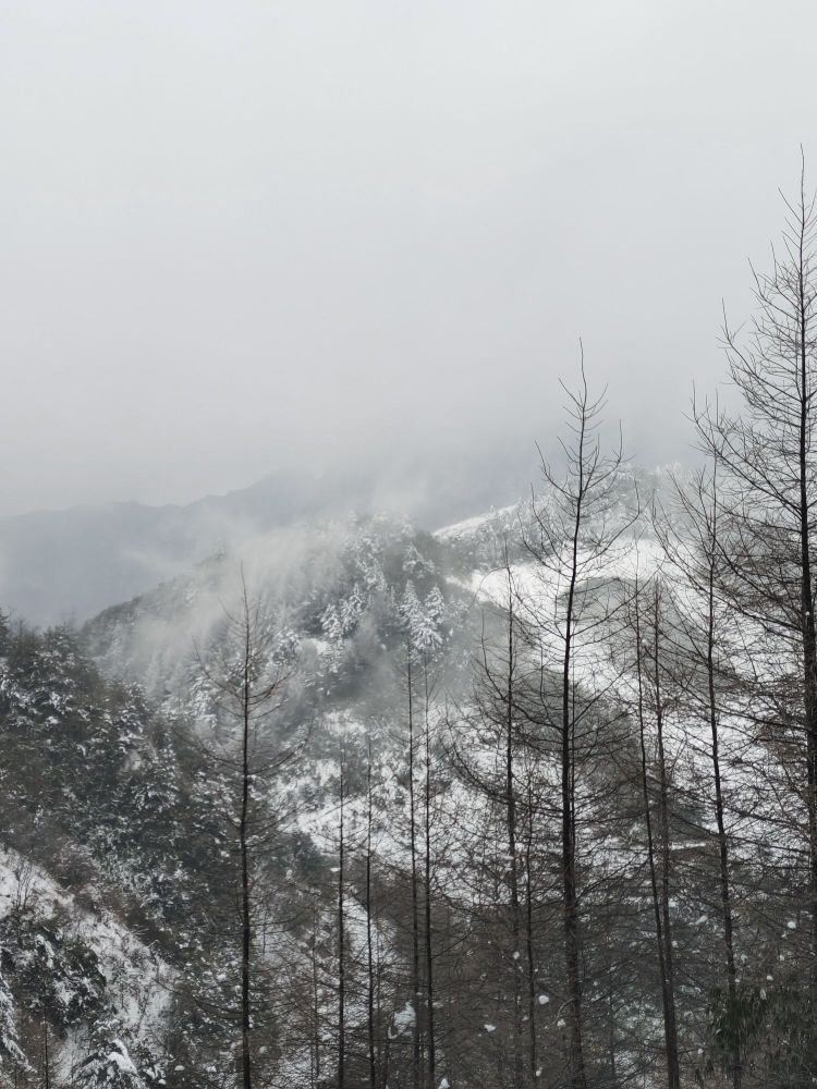 雪宝山国家森林公园