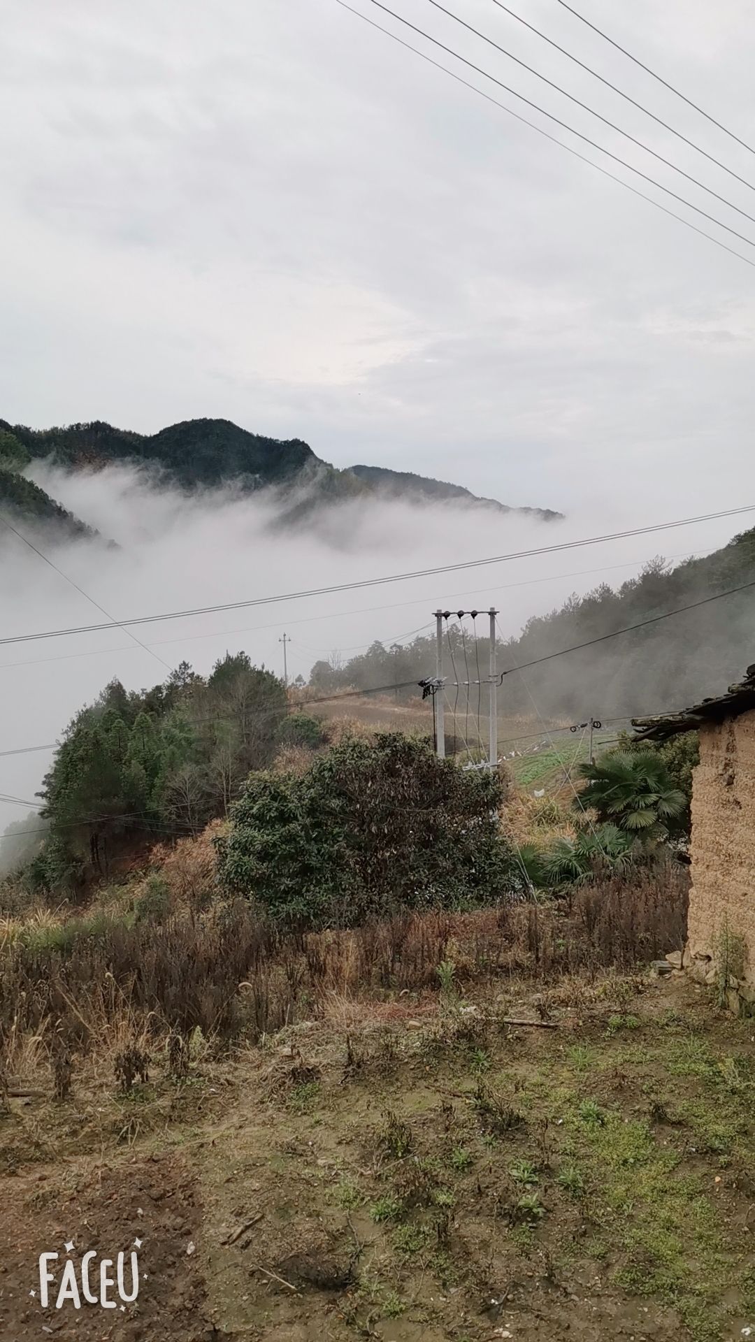 浙江省丽水市龙泉市