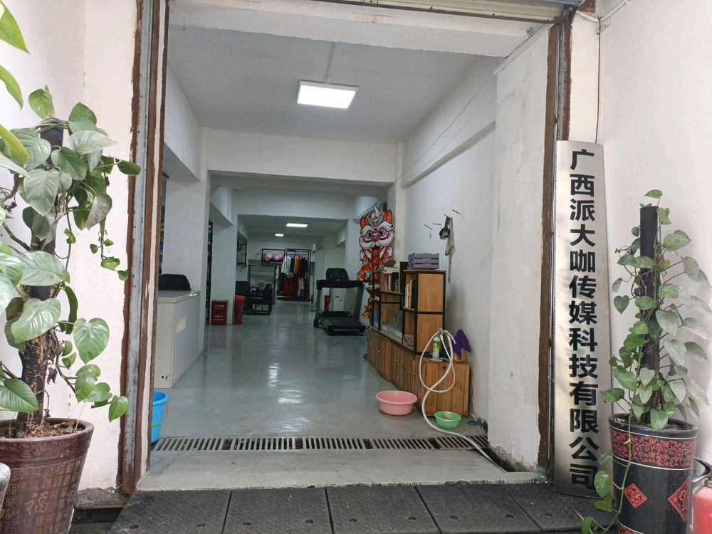 广西派大咖王梅科技有限公司