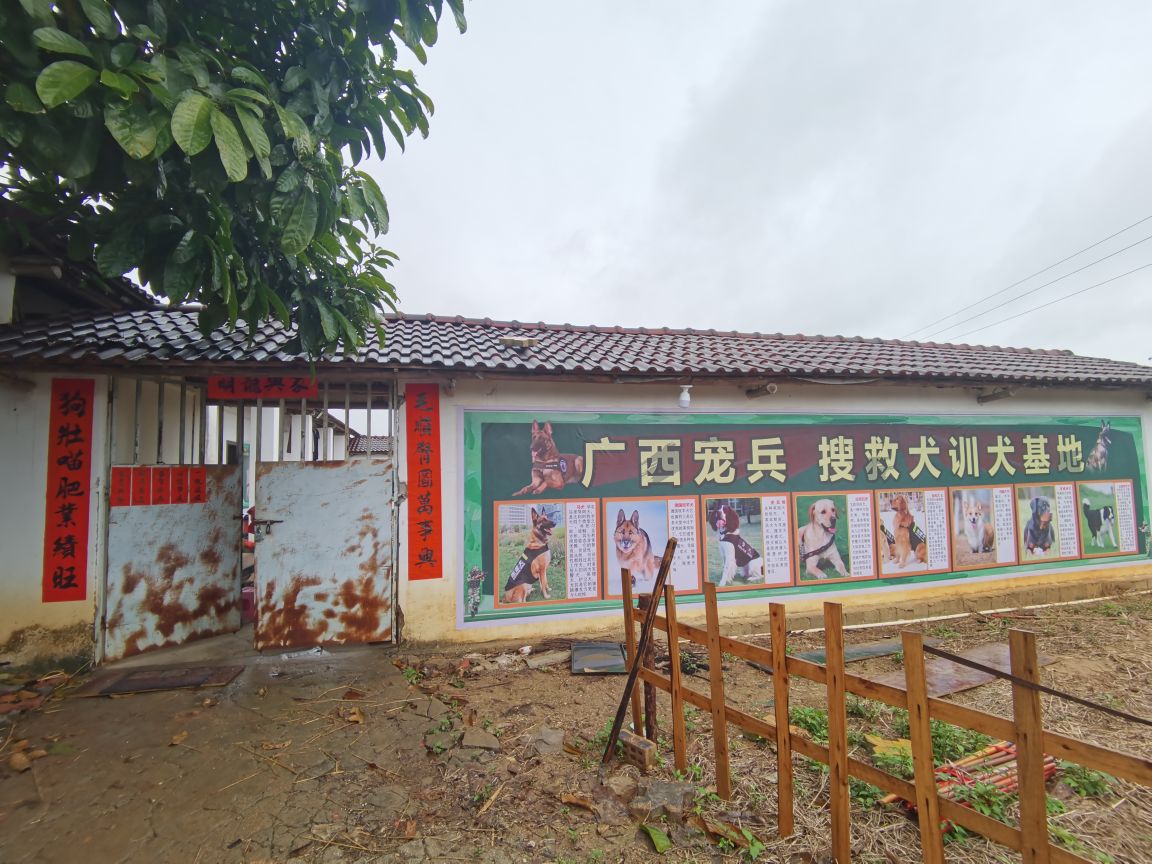 广西宠兵搜救犬训犬基地(贵港校区)