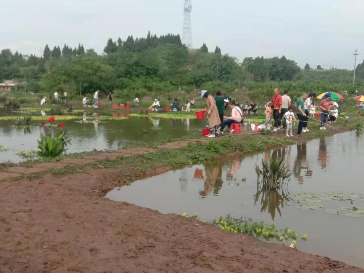 万香谷生态养殖龙虾垂钓