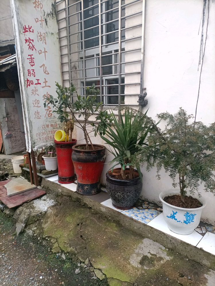 柳叶湖叶飞土鸡店