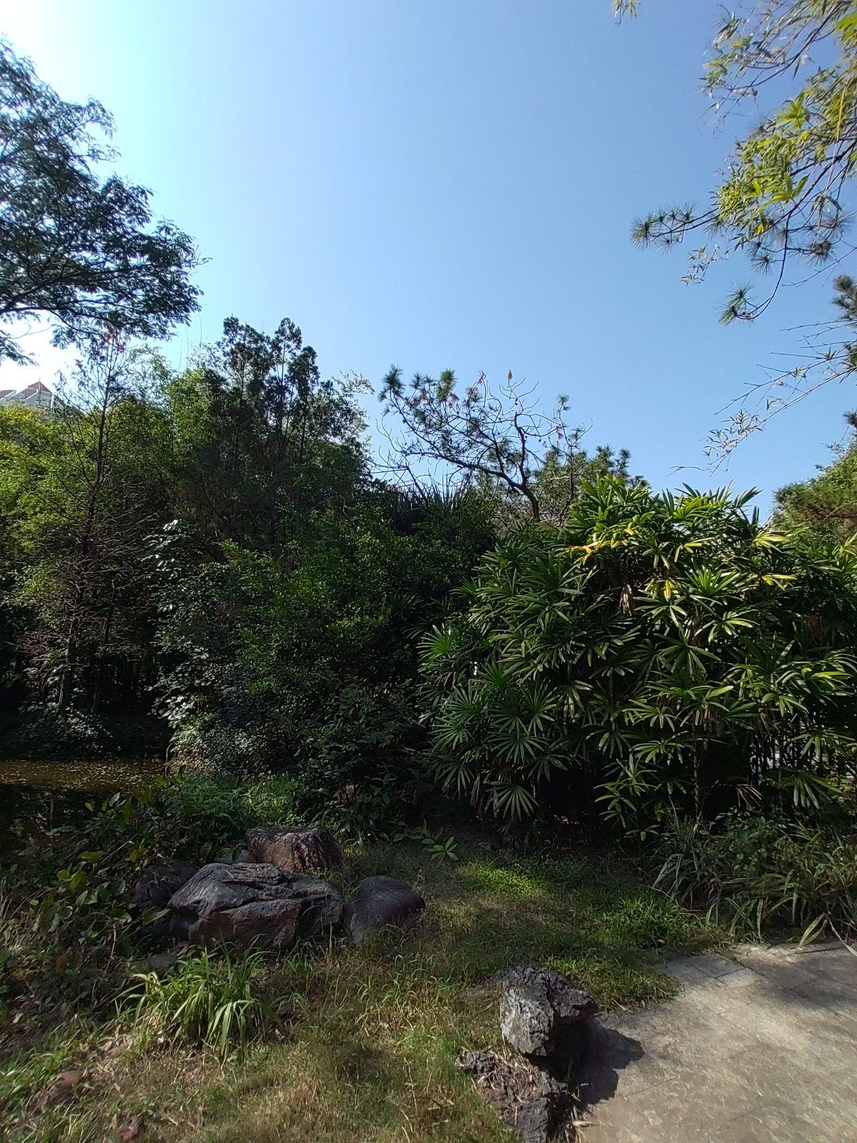 深圳国际园林花卉博览园-逸仙园