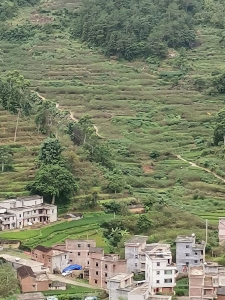 茂名市信宜市