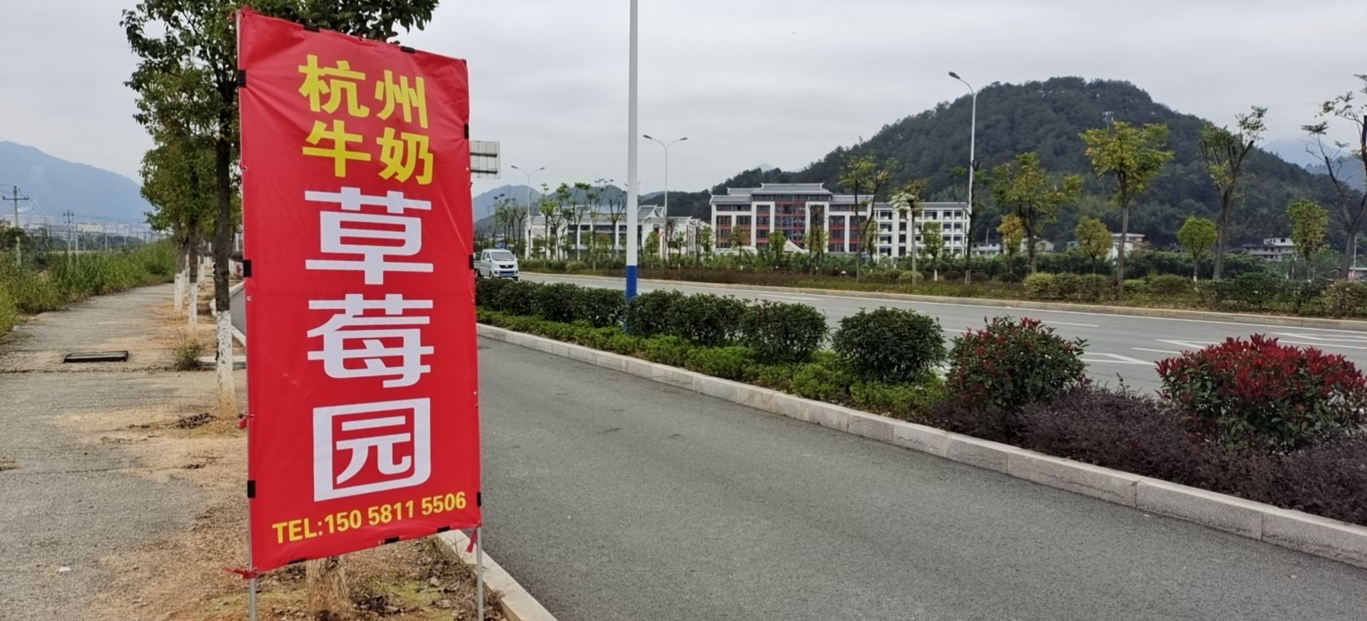 杭州羊奶草莓园(西城迎宾大道店)