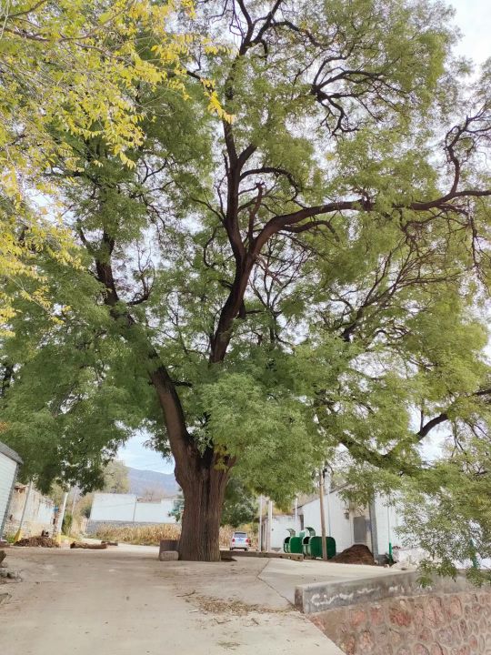 东冶镇