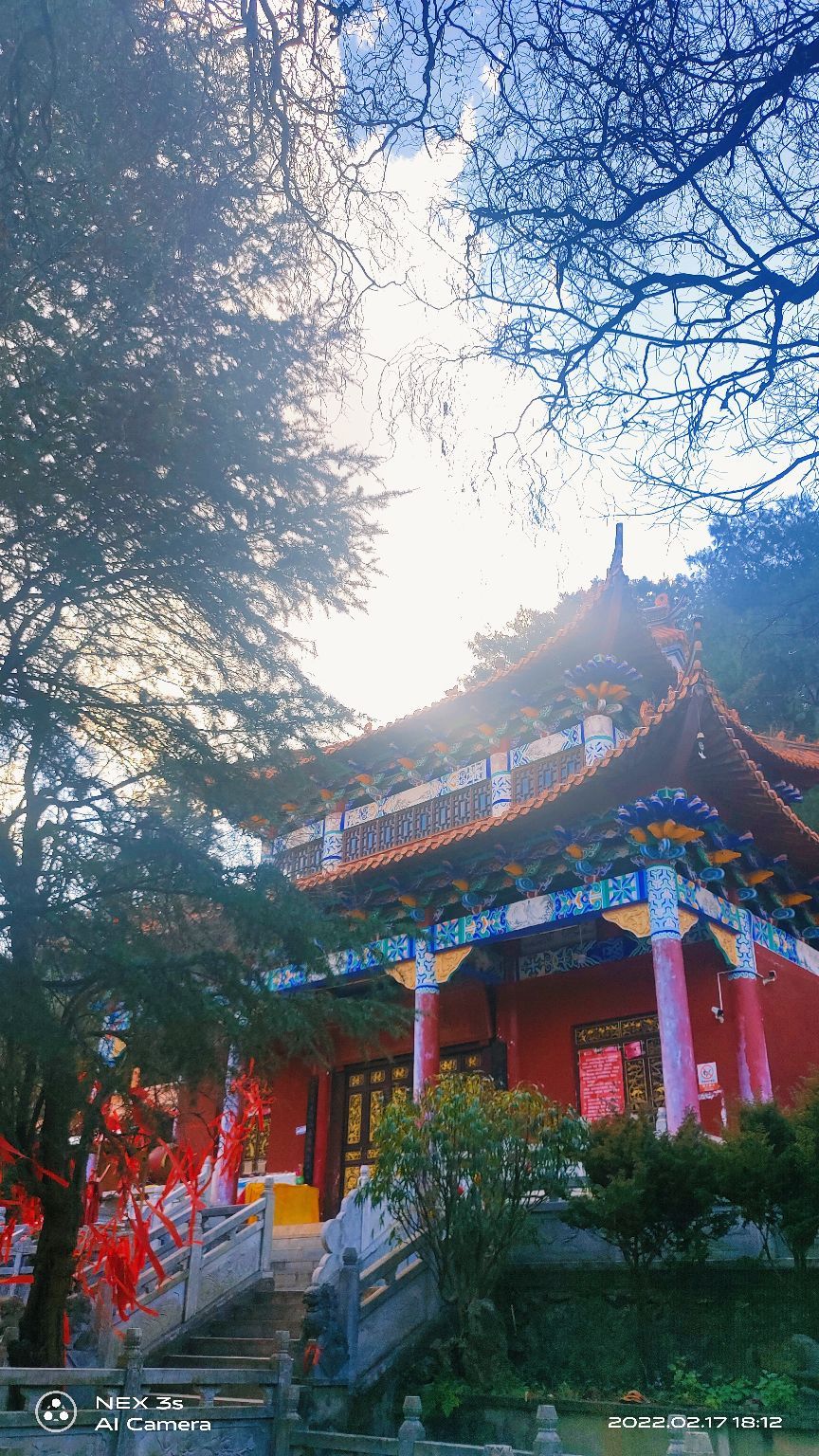 法界寺森林公园