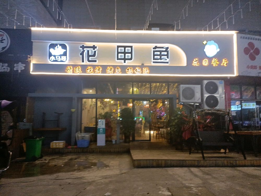 小马哥花甲鱼