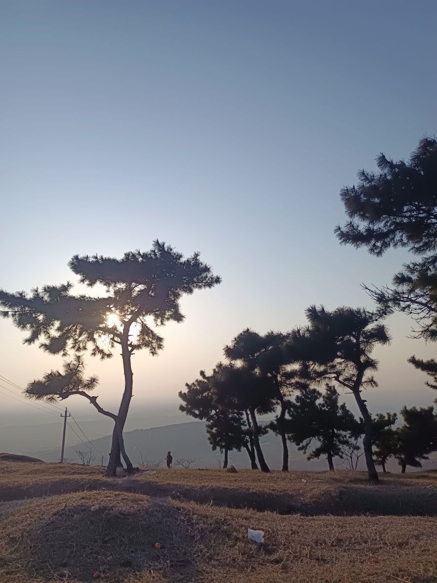 郭集游园