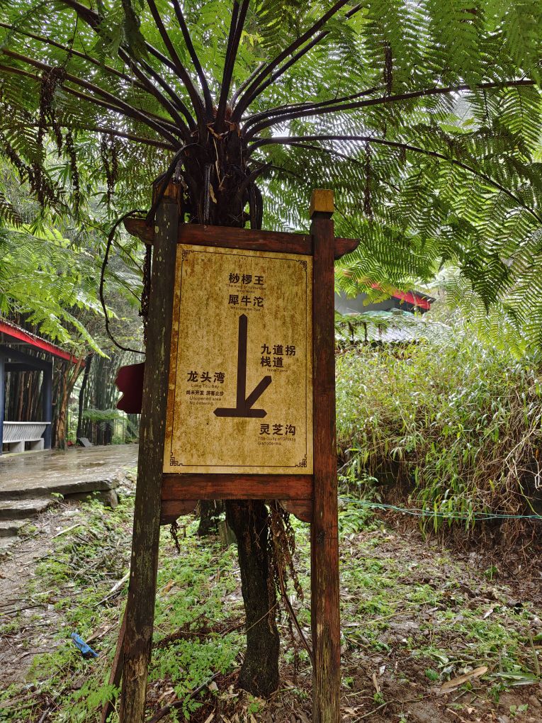 桫椤侠谷收景区