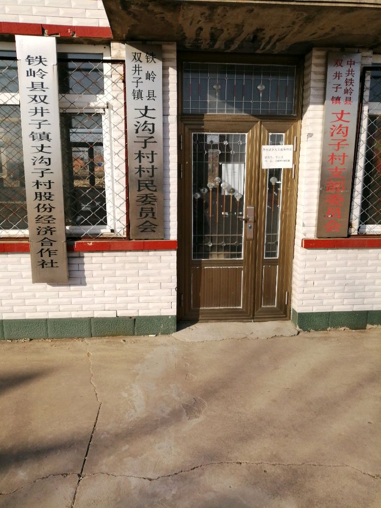 丈沟子村