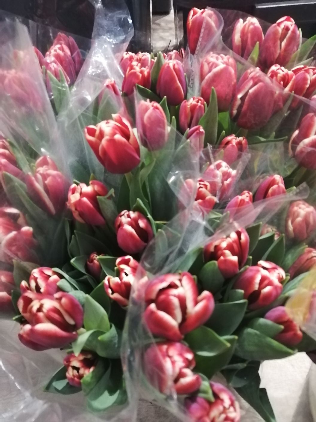 美植花店
