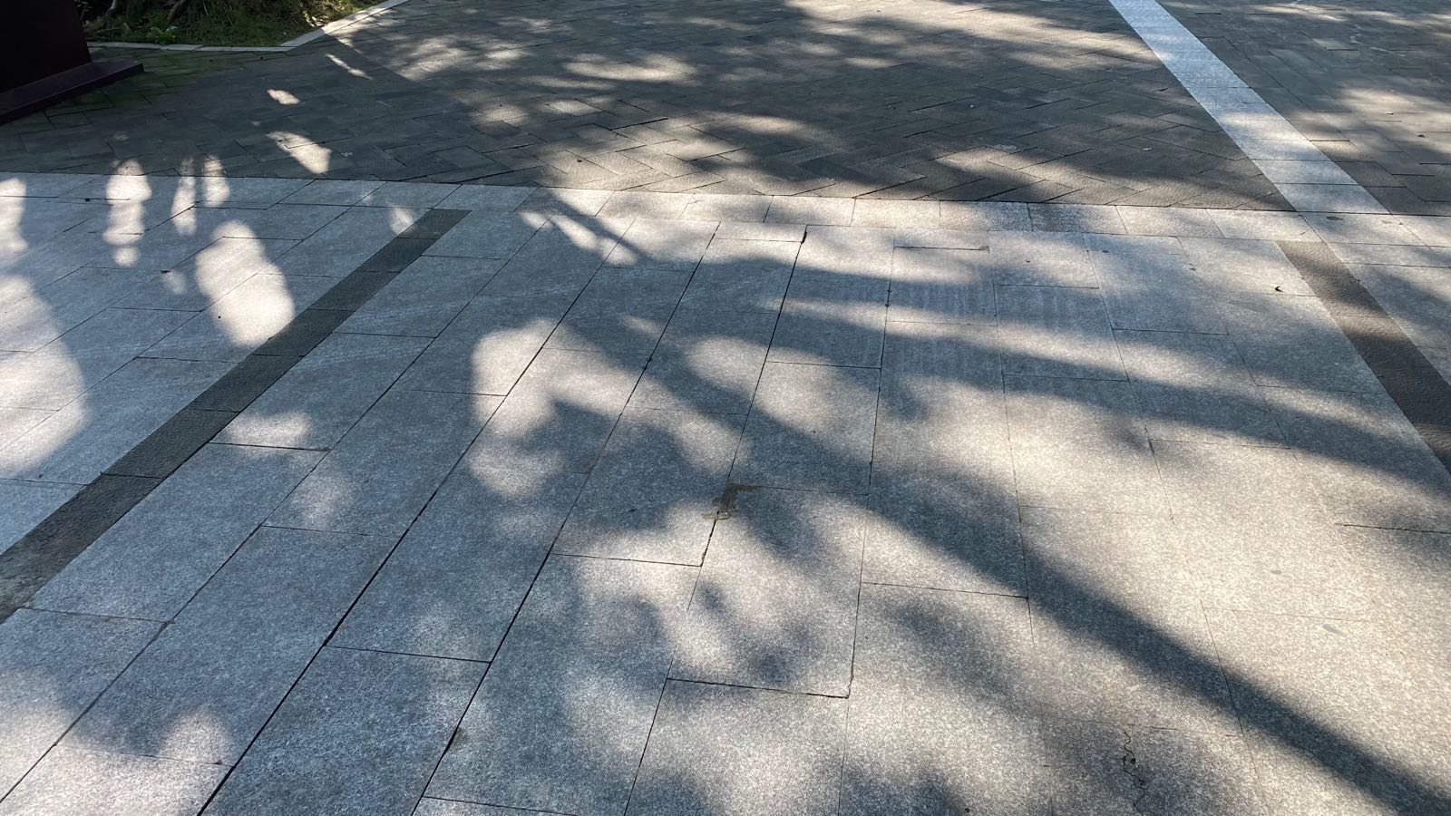 大雾岗森林公园