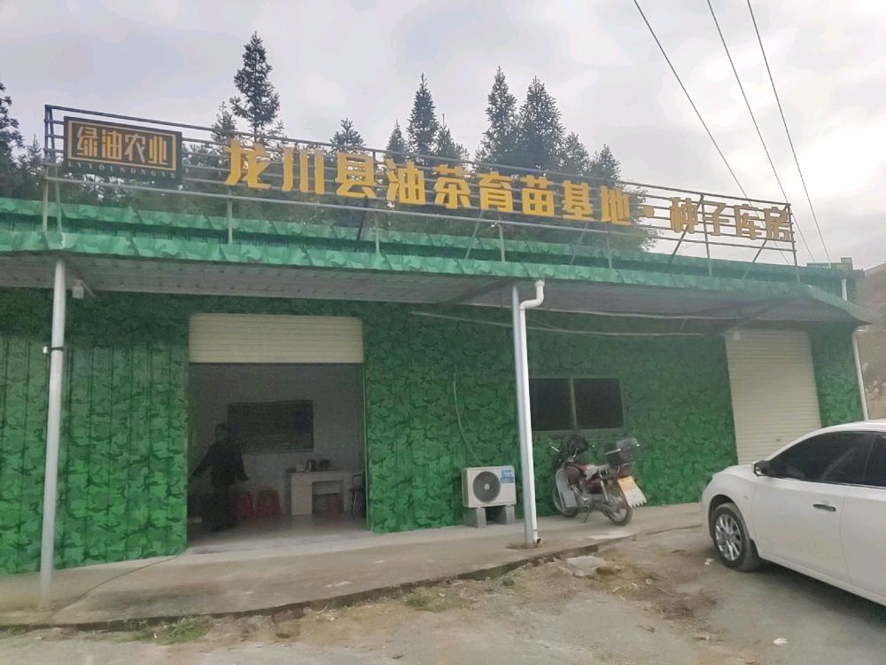 绿油农业油茶育苗基地