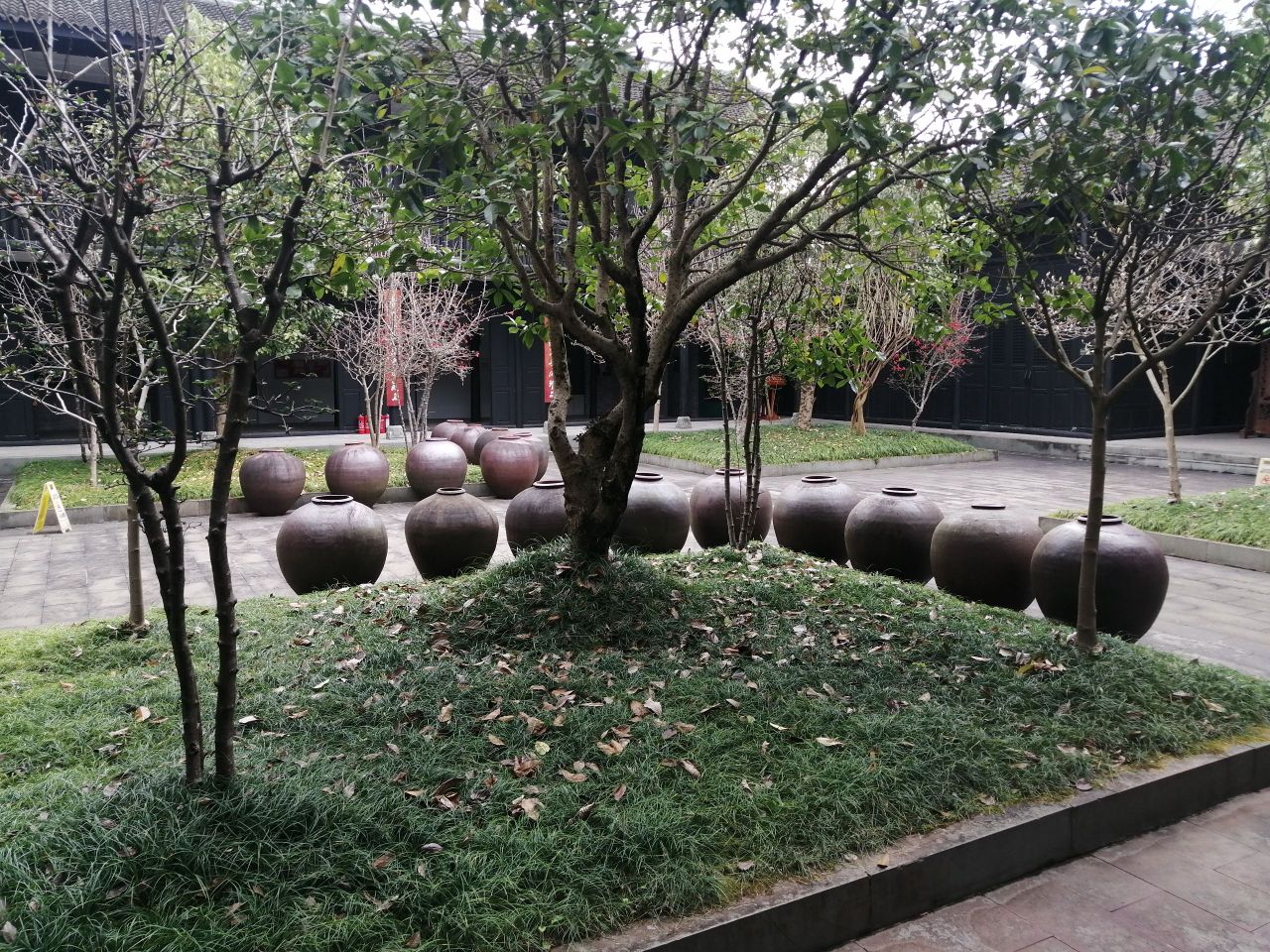 通江银耳博物馆