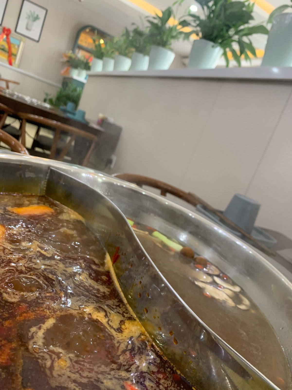 橙市绿岛火锅