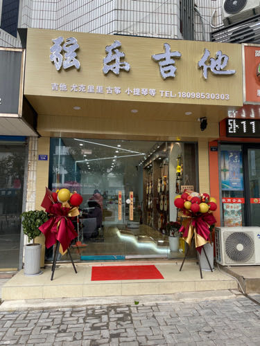 弦乐集他