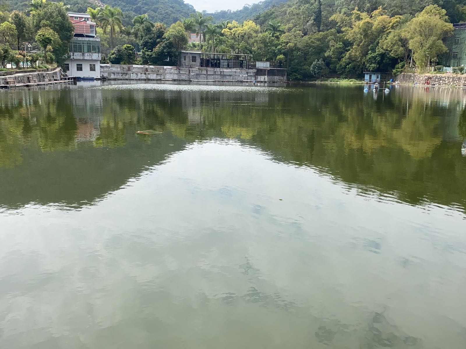 惠阳井冈山钓场