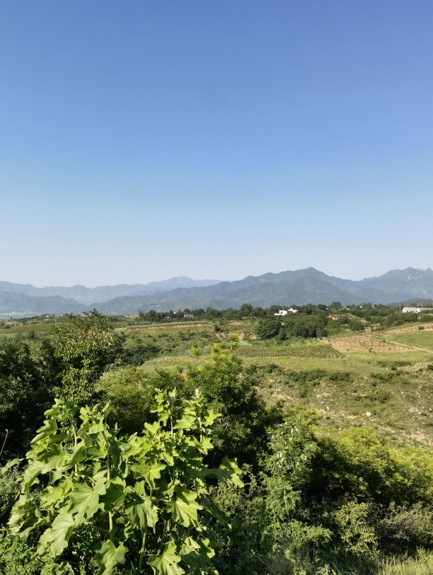 陕西省西安市蓝田县桐花沟景区(关中环线南150米)