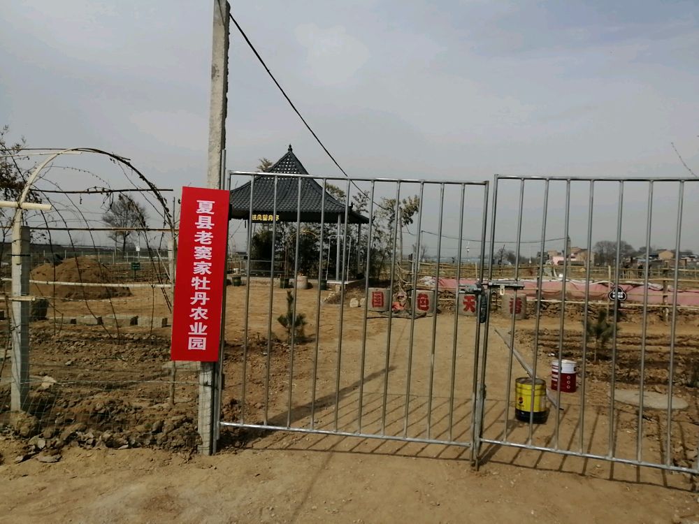夏县老窦家牡丹农业园