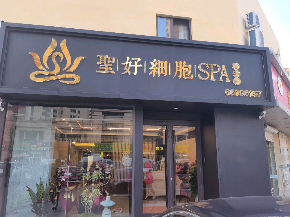 云境细胞Spa