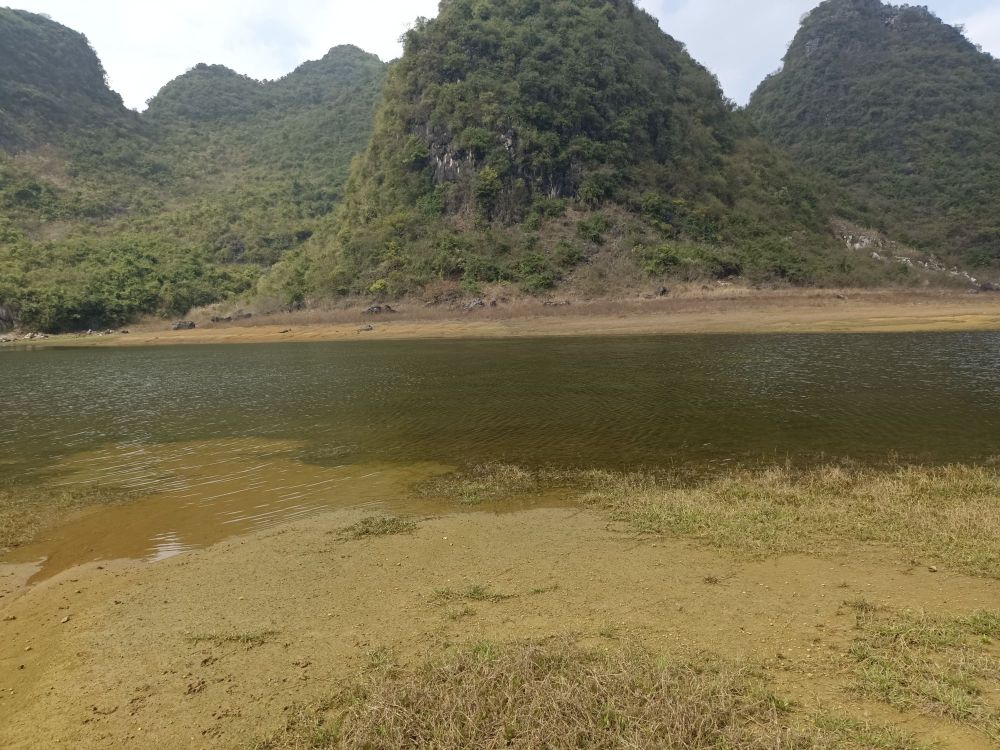 广西壮族自治区来宾市兴宾区