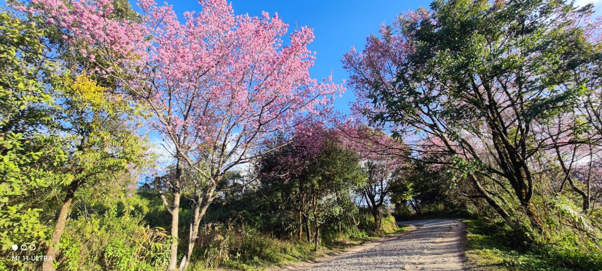 云南省西双版纳傣族自治州勐海县