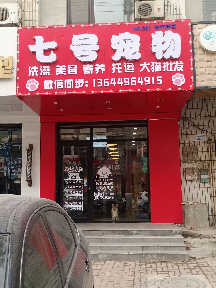 七号宠物店