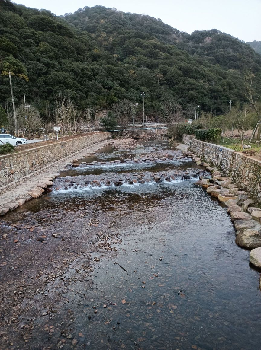北仑森林植物园