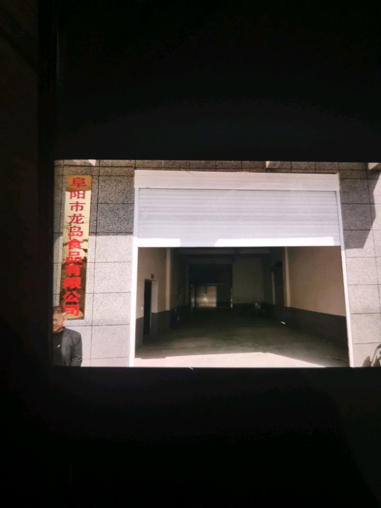 阜阳市龙岛食品有限公司