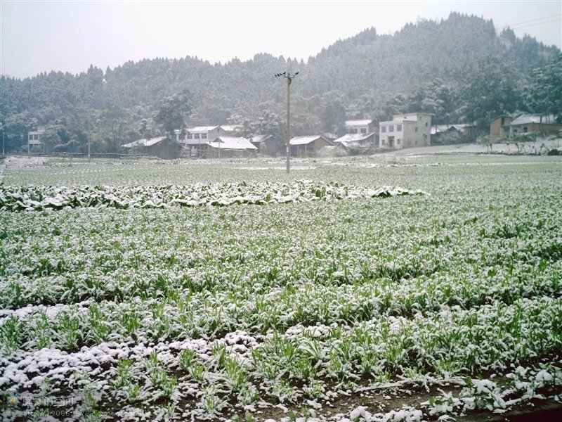 德阳市中江县