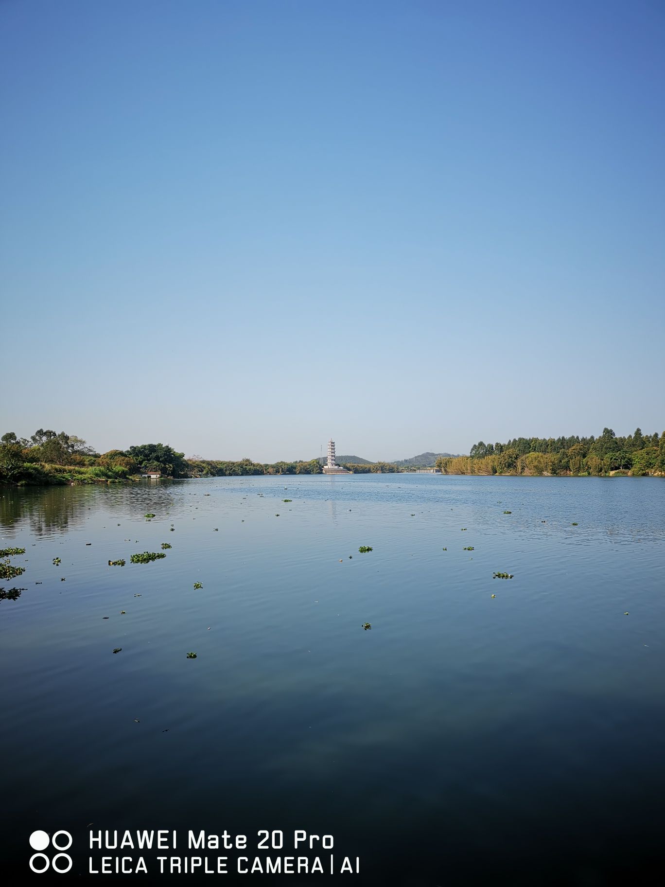 西枝江公园