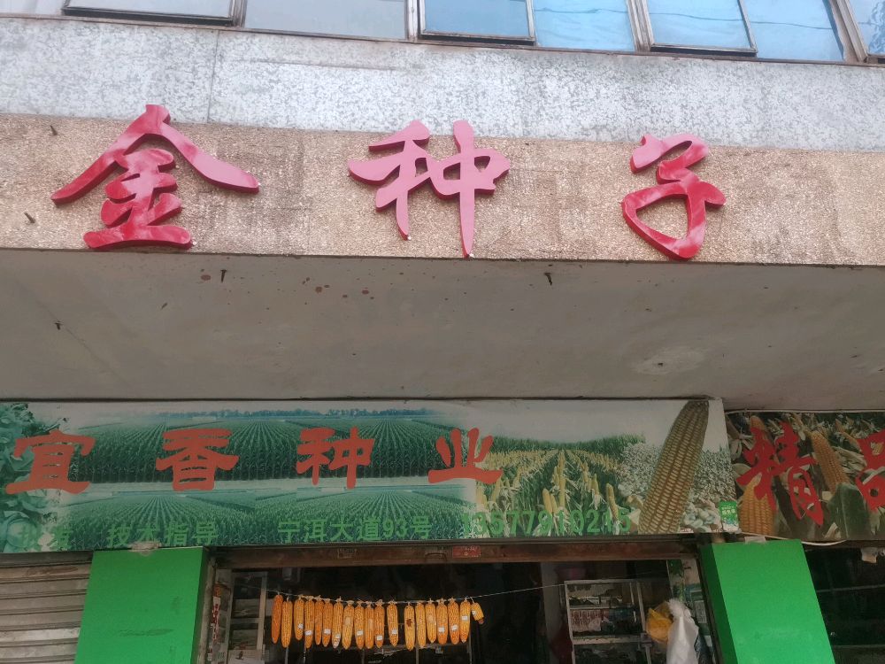 金种子(农兴小区店)