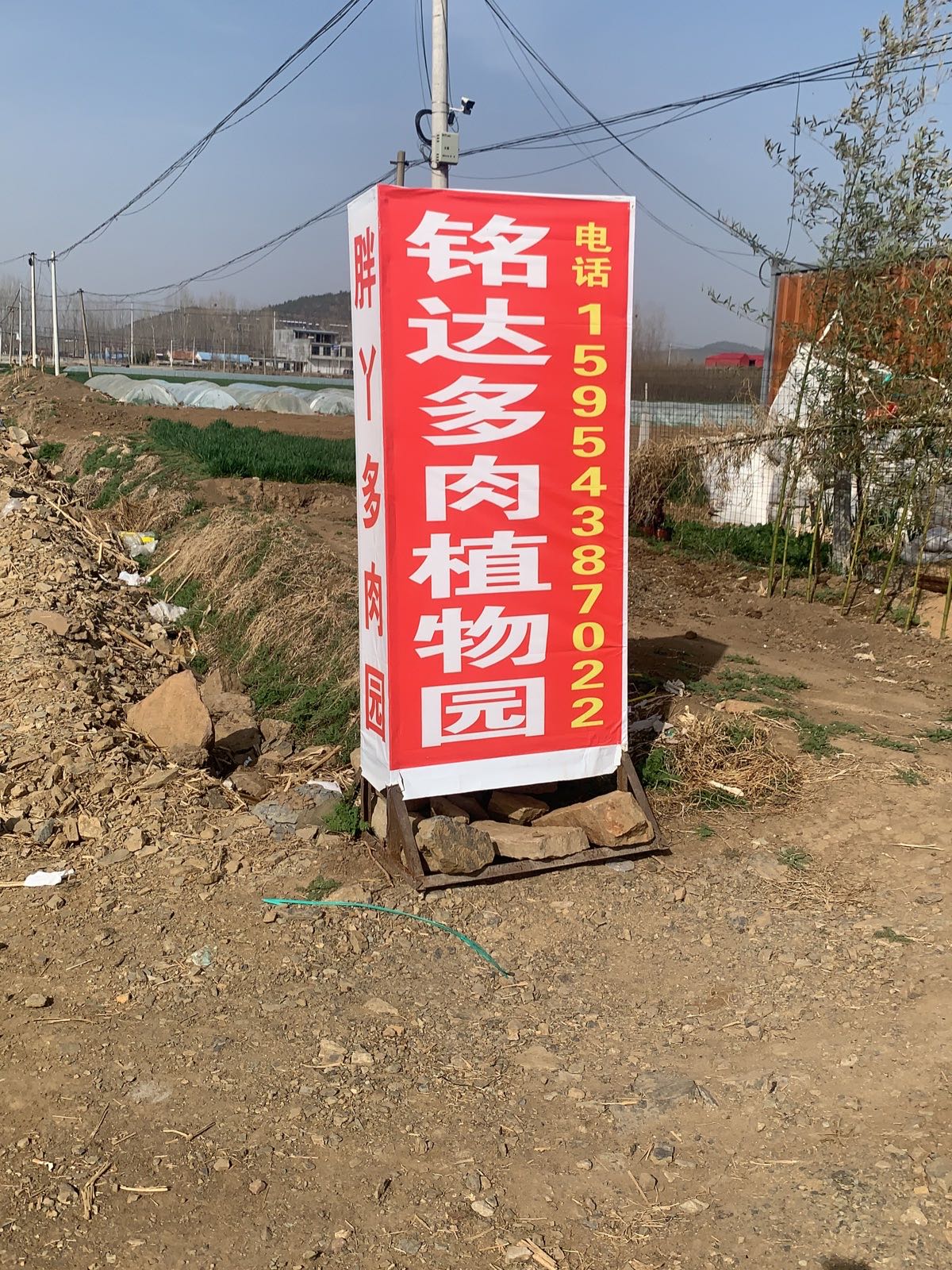 铭达多肉植物园