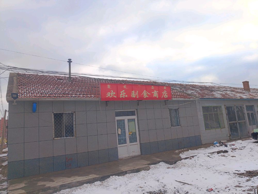 欢乐副食商店