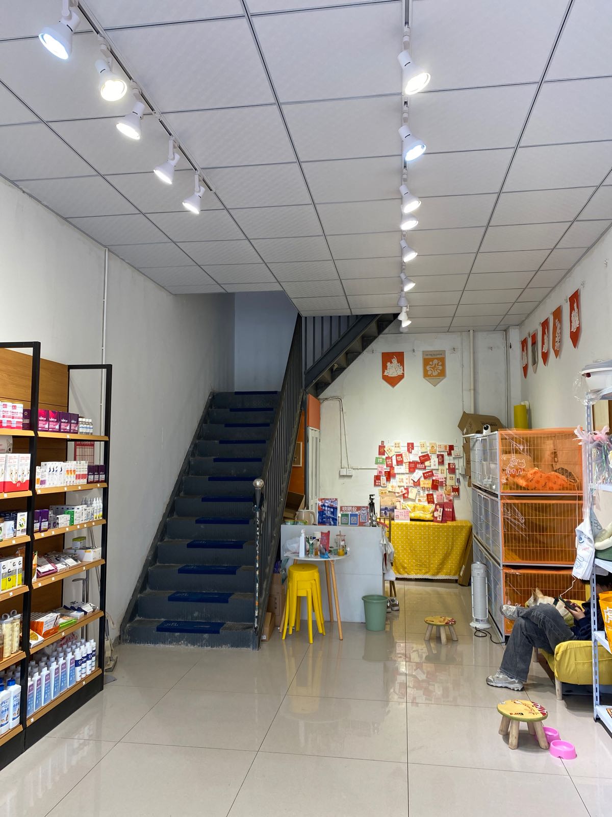 小小怪兽宠物店