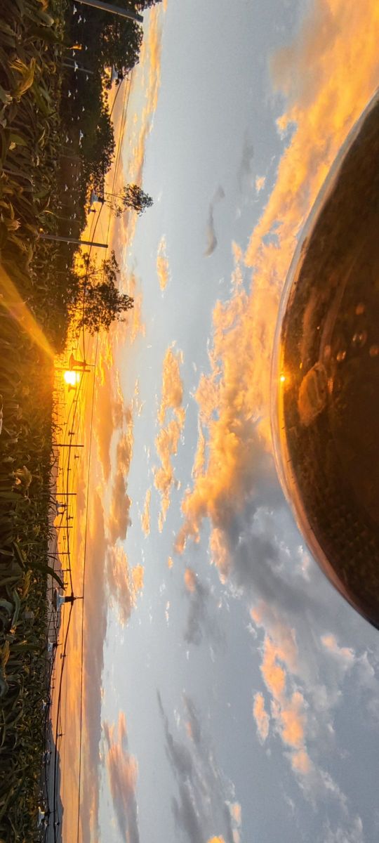 有花有果庄园