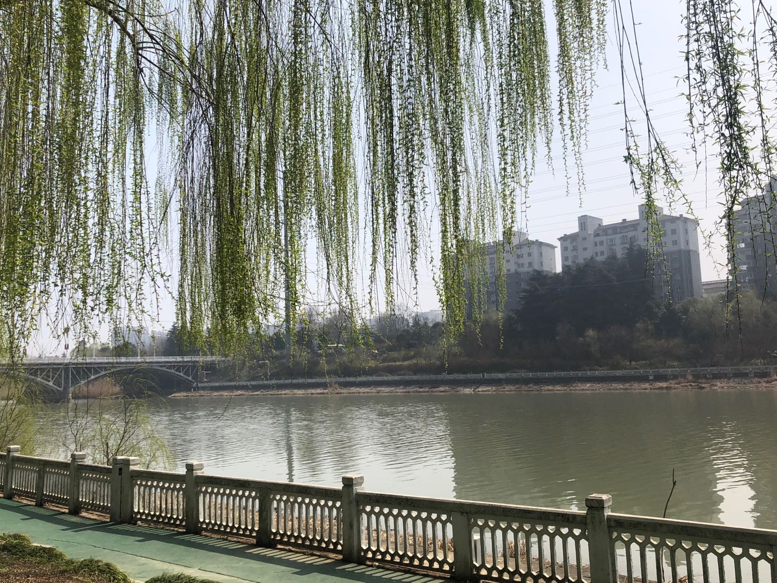 银河之春体育休闲公园