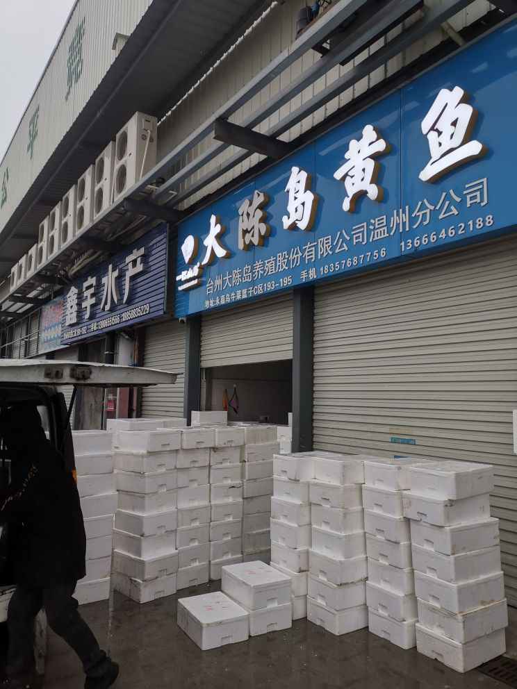 永嘉浙闽农贸市场冰新水产车板批发区