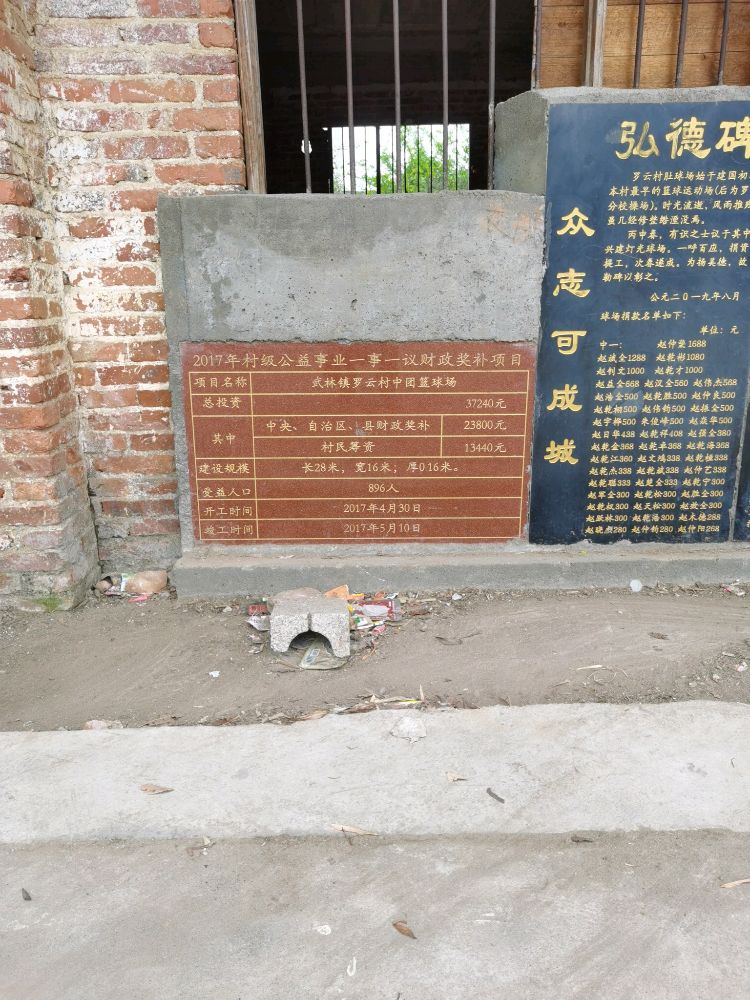 武林镇罗云村中团篮球场