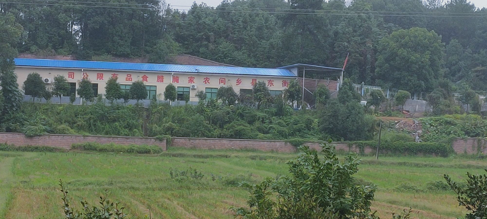 湖南彭妹子食品有限公司
