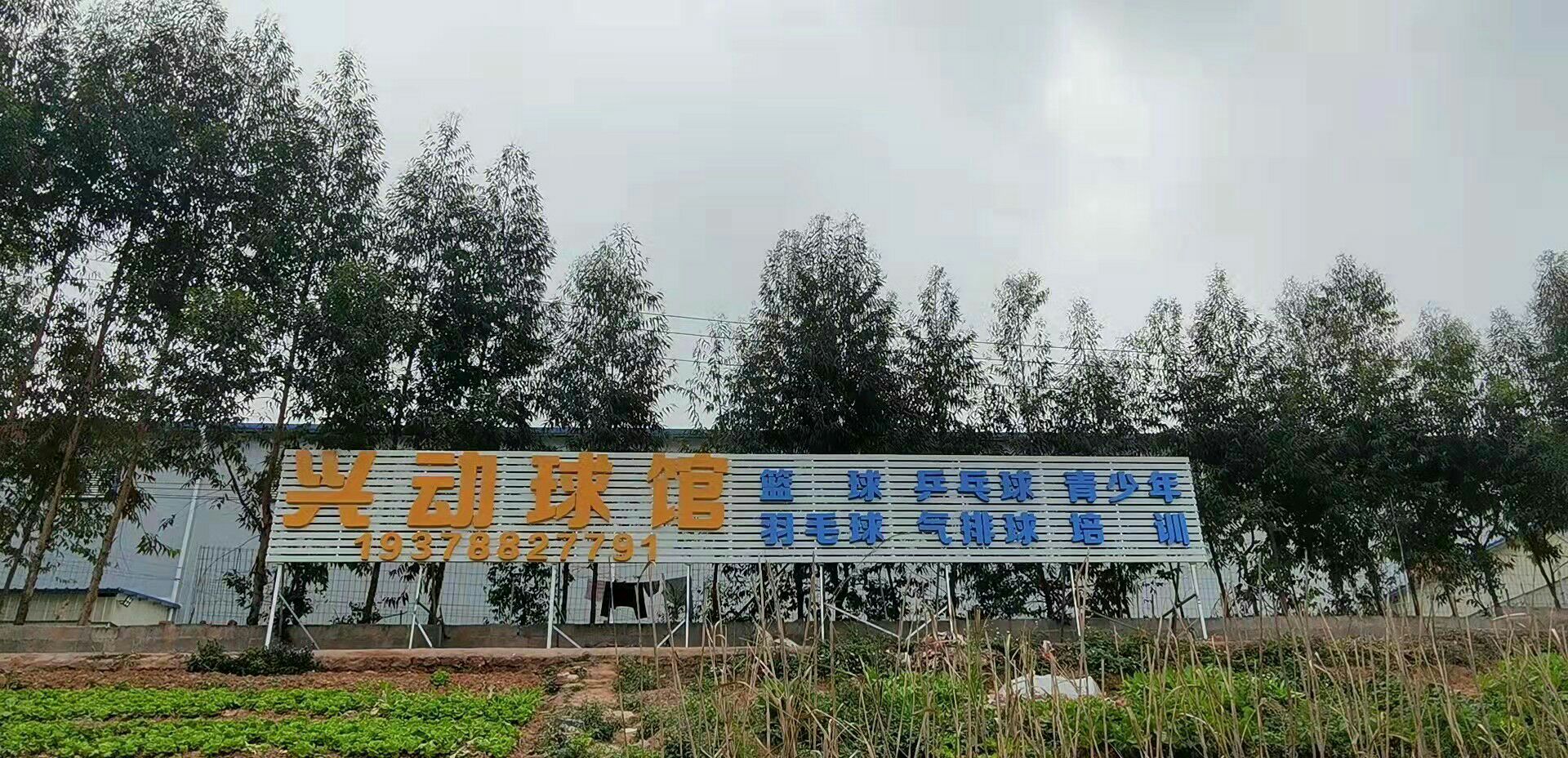 兴动球馆(林里桥店)