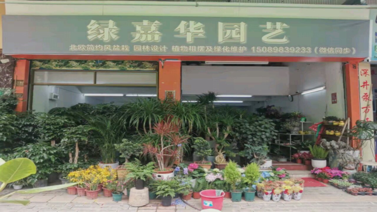 绿嘉华园艺店