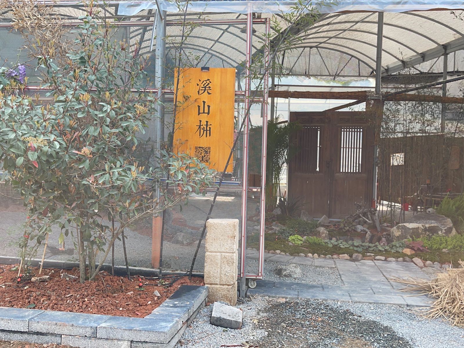 溪山柿·古琴茶空空