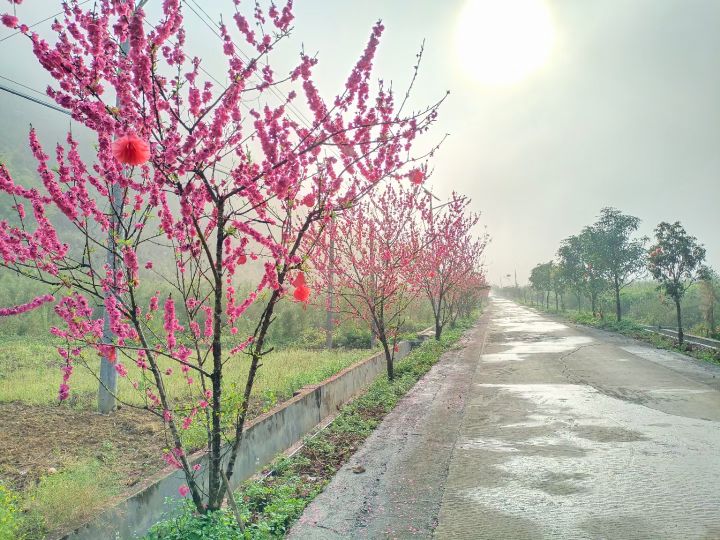 广西百色市田东县作登瑶族乡