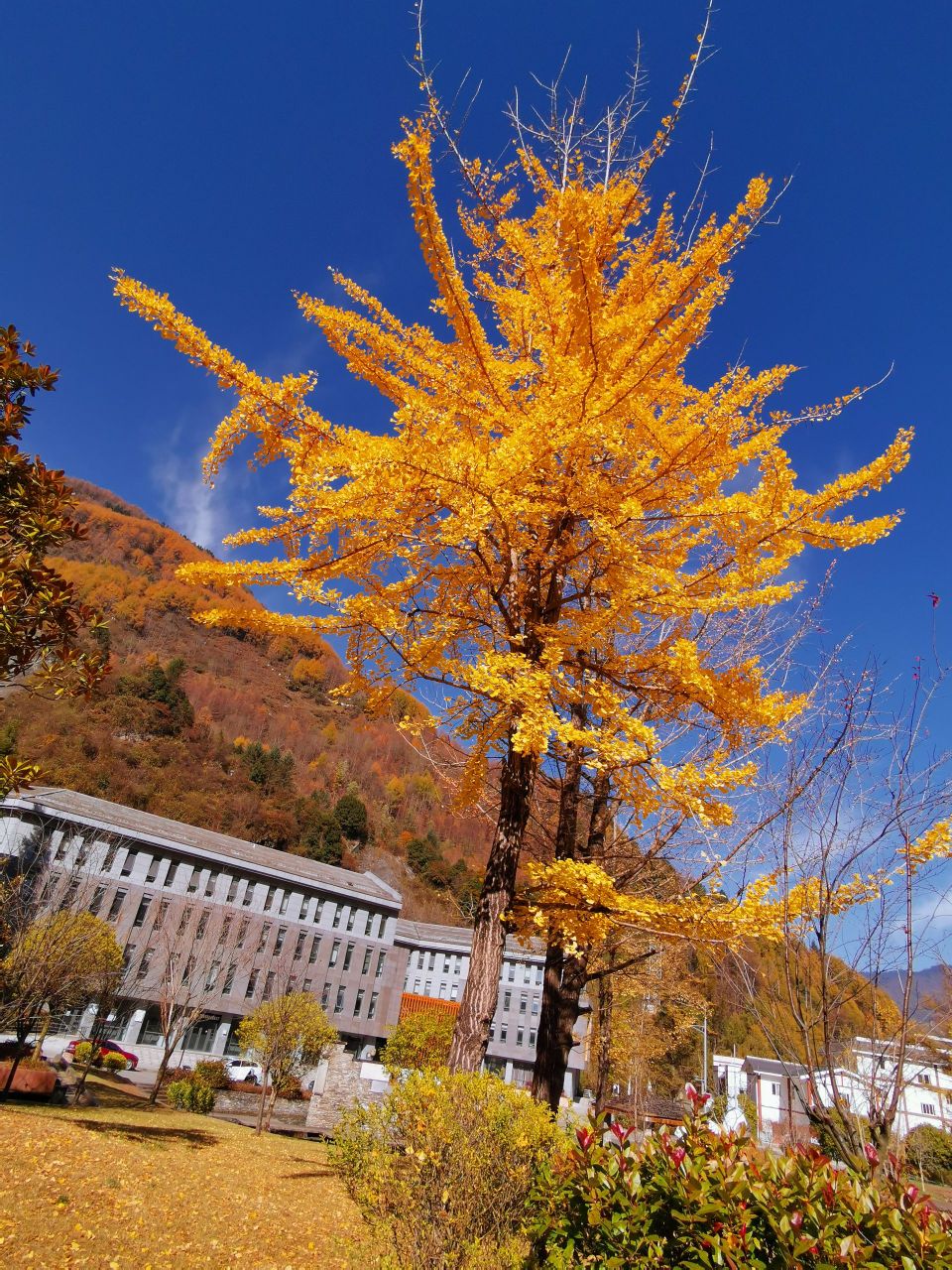 四川省阿坝藏族羌族自治州汶川县