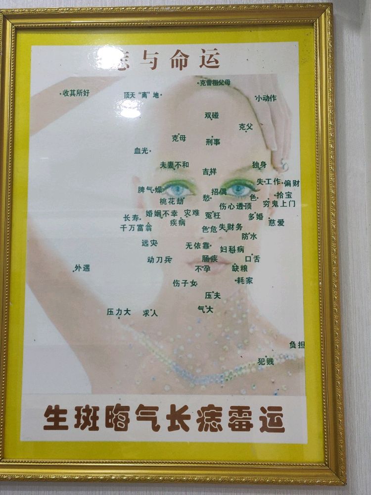 无忌去志(新城明珠小区店)